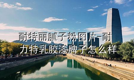 耐特麗膩?zhàn)臃蹐D片-耐力特乳膠漆牌子怎么樣