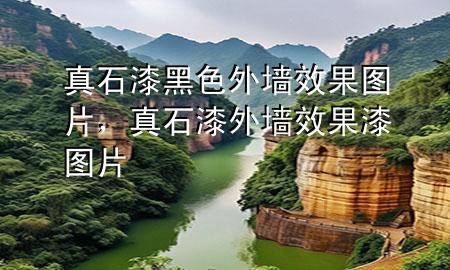 真石漆黑色外墻效果圖片，真石漆外墻效果漆圖片