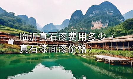 臨沂真石漆費用多少（真石漆面漆價格）
