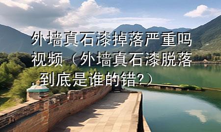 外墻真石漆掉落嚴重嗎視頻（外墻真石漆脫落,到底是誰的錯?）