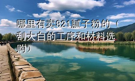 哪里有賣821膩?zhàn)臃鄣模ü未蟀椎墓ば蚝筒牧线x購(gòu)）