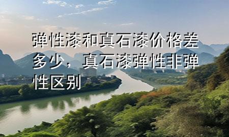 彈性漆和真石漆價(jià)格差多少，真石漆彈性非彈性區(qū)別