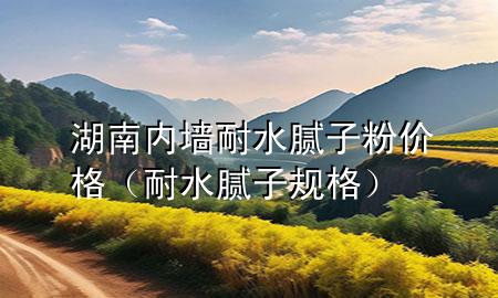 湖南內(nèi)墻耐水膩子粉價格（耐水膩子規(guī)格）