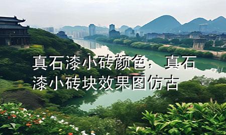 真石漆小磚顏色，真石漆小磚塊效果圖仿古