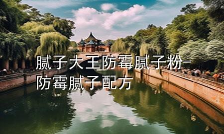 膩子大王防霉膩子粉-防霉膩子配方