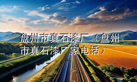 盤州市真石漆廠（盤州市真石漆廠家電話）