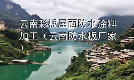 云南彩板屋面防水涂料加工（云南防水板廠家）