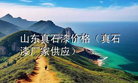 山東真石漆價(jià)格（真石漆廠家供應(yīng)）