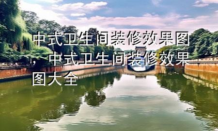 中式衛(wèi)生間裝修效果圖，中式衛(wèi)生間裝修效果圖大全