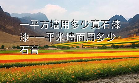 一平方墻用多少真石漆漆-一平米墻面用多少石膏