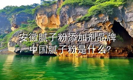 安徽膩?zhàn)臃厶砑觿┢放疲袊佔(zhàn)臃凼鞘裁?