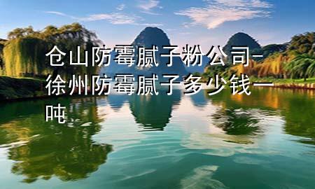 倉(cāng)山防霉膩?zhàn)臃酃?徐州防霉膩?zhàn)佣嗌馘X(qián)一噸