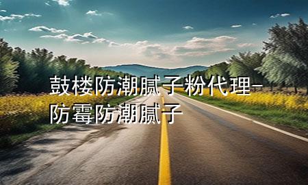 鼓樓防潮膩子粉代理-防霉防潮膩子