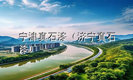 寧津真石漆（濟(jì)寧真石漆）