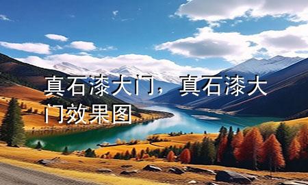 真石漆 大門，真石漆大門效果圖