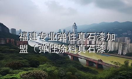 福建專業(yè)彈性真石漆加盟（彈性涂料 真石漆）