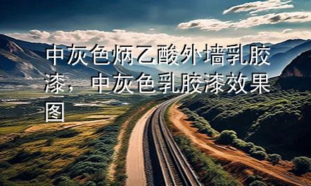 中灰色炳乙酸外墻乳膠漆，中灰色乳膠漆效果圖