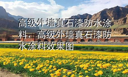 高級外墻真石漆防水涂料，高級外墻真石漆防水涂料效果圖