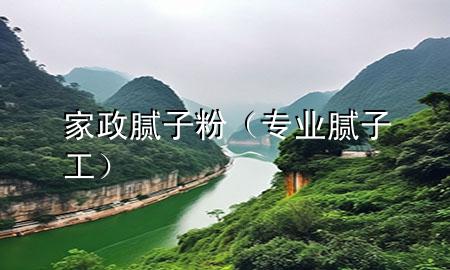 家政膩子粉（專業(yè)膩子工）