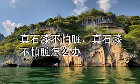 真石漆不怕臟，真石漆不怕臟怎么辦