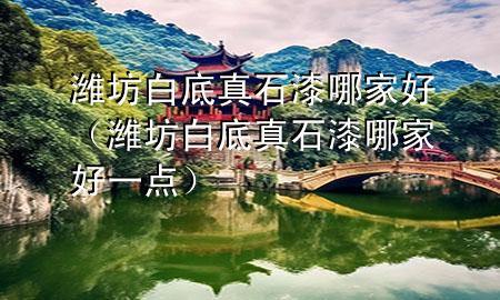 濰坊白底真石漆哪家好（濰坊白底真石漆哪家好一點）