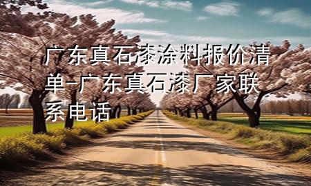 廣東真石漆涂料報價清單-廣東真石漆廠家聯(lián)系電話