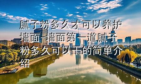 膩子粉多久才可以養(yǎng)護墻面-墻面第一道膩子粉多久可以干的簡單介紹