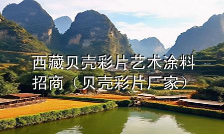 西藏貝殼彩片藝術(shù)涂料招商（貝殼彩片廠家）