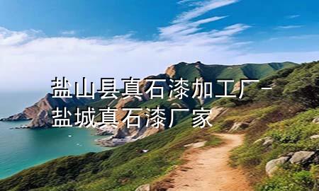 鹽山縣真石漆加工廠-鹽城真石漆廠家