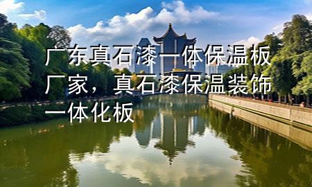 廣東真石漆一體保溫板廠家，真石漆保溫裝飾一體化板