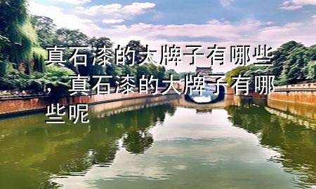 真石漆的大牌子有哪些，真石漆的大牌子有哪些呢