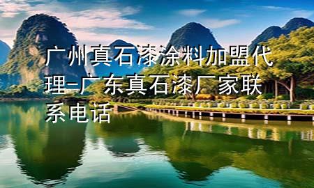 廣州真石漆涂料加盟代理-廣東真石漆廠家聯(lián)系電話