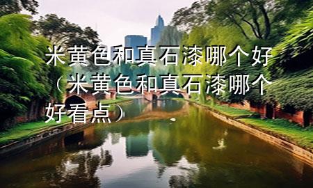 米黃色和真石漆哪個好（米黃色和真石漆哪個好看點）