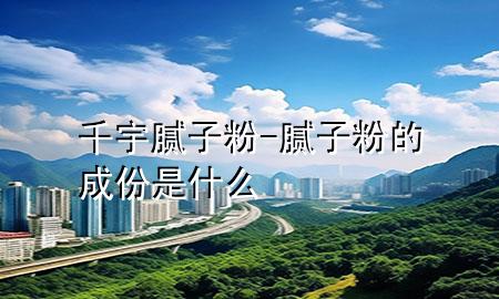 千宇膩子粉-膩子粉的成份是什么