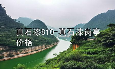 真石漆810-真石漆崗?fù)r(jià)格