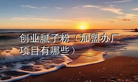 創(chuàng)業(yè)膩?zhàn)臃郏用宿k廠項(xiàng)目有哪些）
