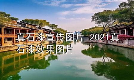 真石漆宣傳圖片-2021真石漆效果圖片