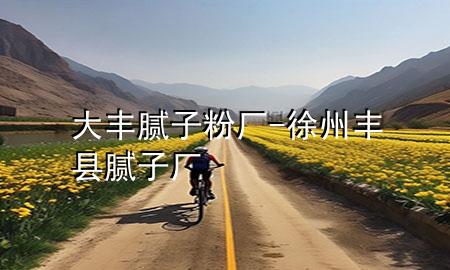 大豐膩子粉廠-徐州豐縣膩子廠