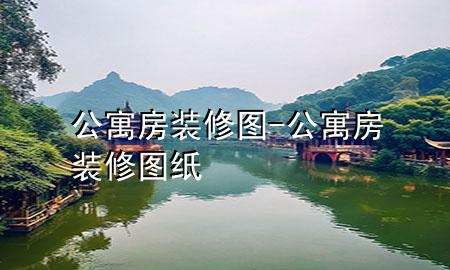 公寓房裝修圖-公寓房裝修圖紙