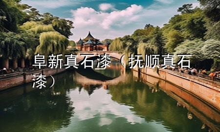 阜新真石漆（撫順真石漆）