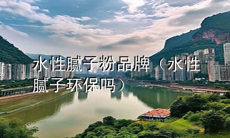 水性膩子粉品牌（水性膩子環(huán)保嗎）