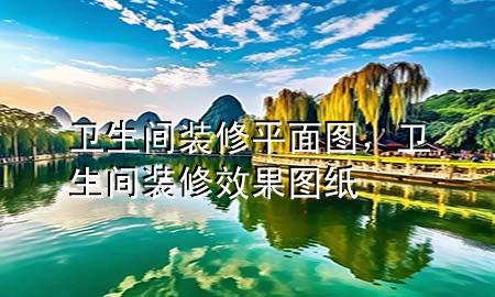 衛(wèi)生間裝修平面圖，衛(wèi)生間裝修效果圖紙