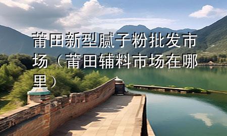 莆田新型膩子粉批發(fā)市場（莆田輔料市場在哪里）