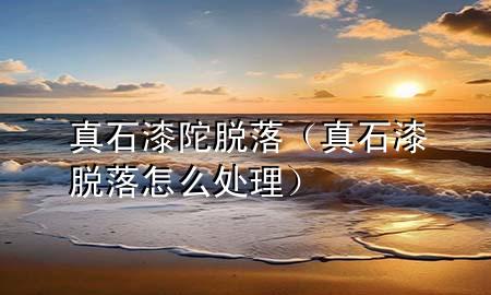 真石漆陀脫落（真石漆脫落怎么處理）