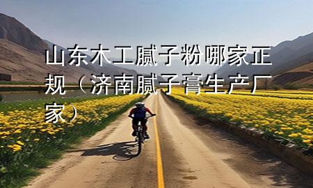 山東木工膩?zhàn)臃勰募艺?guī)（濟(jì)南膩?zhàn)痈嗌a(chǎn)廠家）
