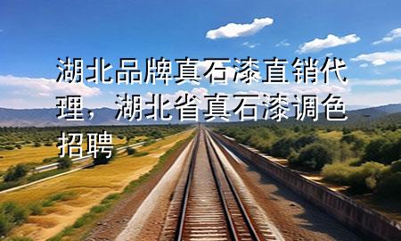 湖北品牌真石漆直銷(xiāo)代理，湖北省真石漆調(diào)色招聘