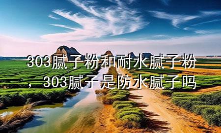 303膩子粉和耐水膩子粉，303膩子是防水膩子嗎
