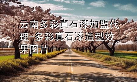 云南多彩真石漆加盟代理-多彩真石漆造型效果圖片