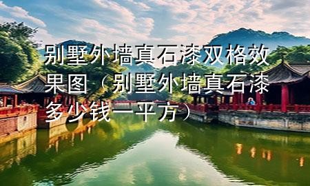別墅外墻真石漆雙格效果圖（別墅外墻真石漆多少錢一平方）