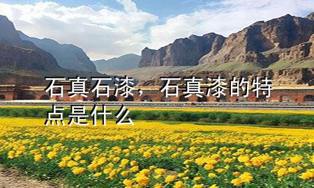 石真石漆，石真漆的特點(diǎn)是什么